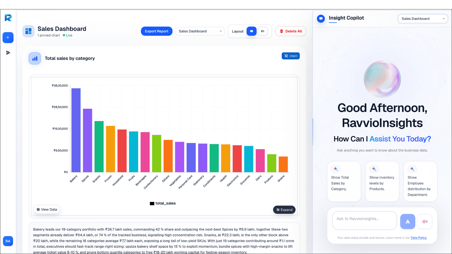 RavvioInsights conversational analytics dashboard preview